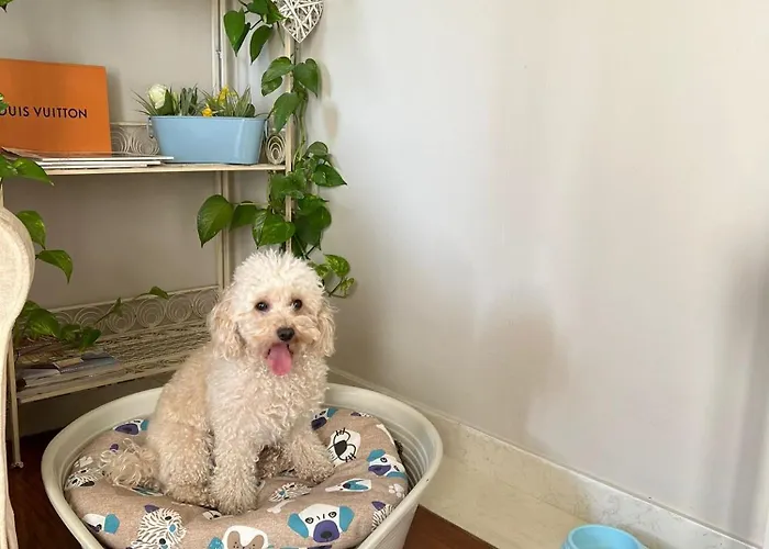 La Di Giulia بيت ضيافة 4*